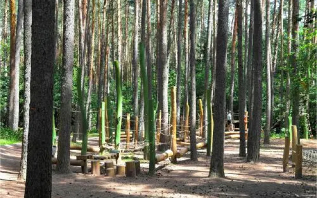 Waldcamping am Brombachsee