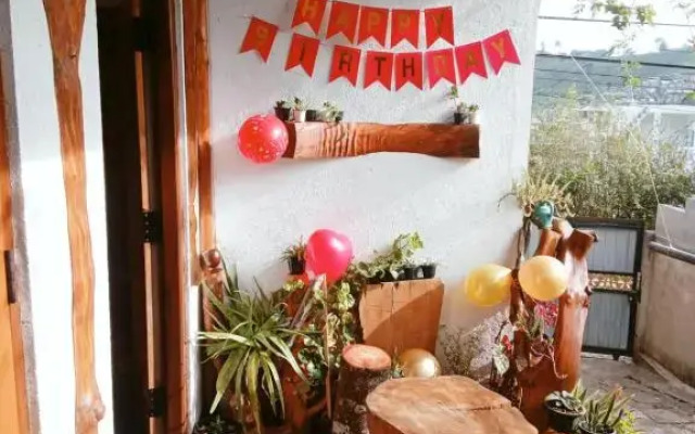 20/20 wood cabana