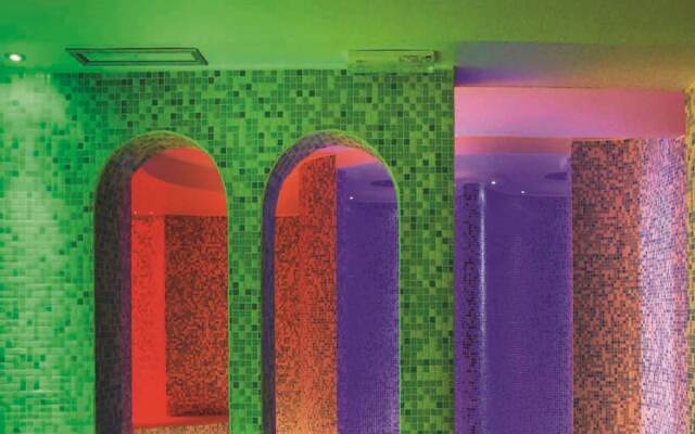 Apartment With Swimming Pool Thermal Water Turkish Steam Bath Massages