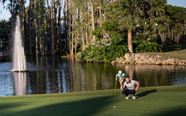 Saddlebrook Golf Resort & Spa Tampa North - Wesley Chapel