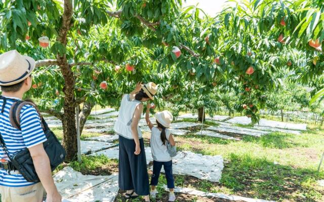 Fruit Park Fujiya Hotel