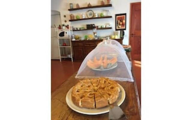 Serendipity House B&B