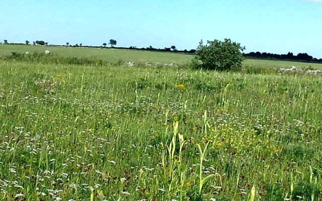 Porta Matera Bed  Breakfast