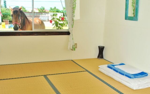 Iriomotejima Monsoon - Hostel