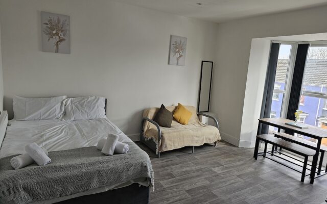 Lovely Apartment in Swansea