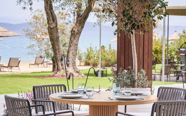 Voyage Torba Private