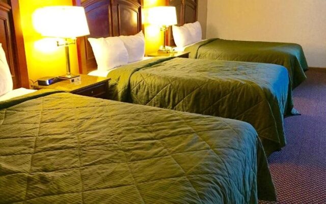 Executive Inn and Suites