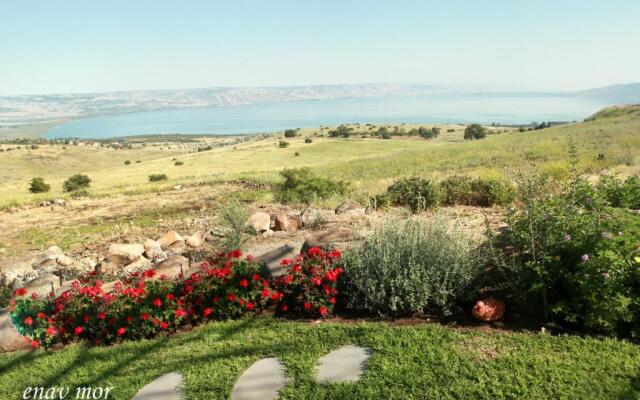 Sea Of Galilee Site