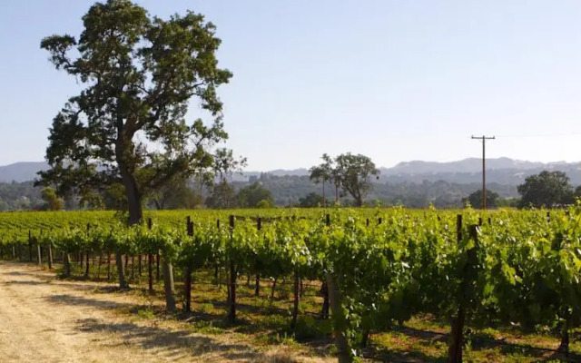 Honey Oak House at Laraneta Vineyards