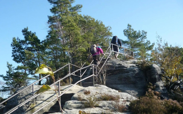 Whg./flat am Großen Garten in Dresden