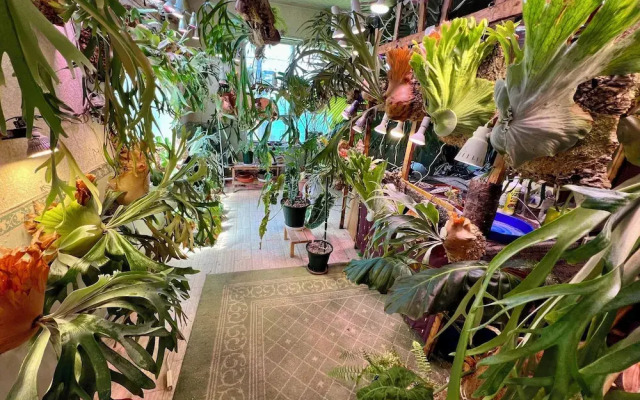 Rental cottage Santorope