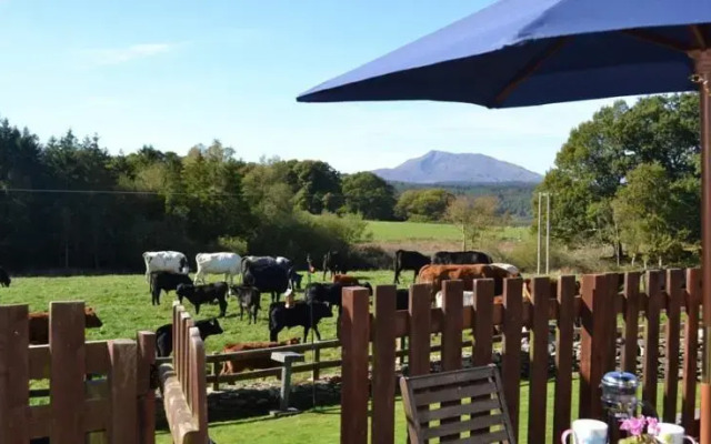 Siabod Luxury Cottage