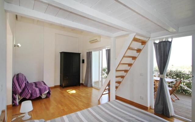 La Gabbianella E Il Gatto