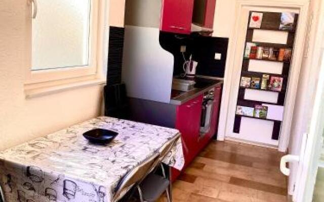 Apartment Carevic