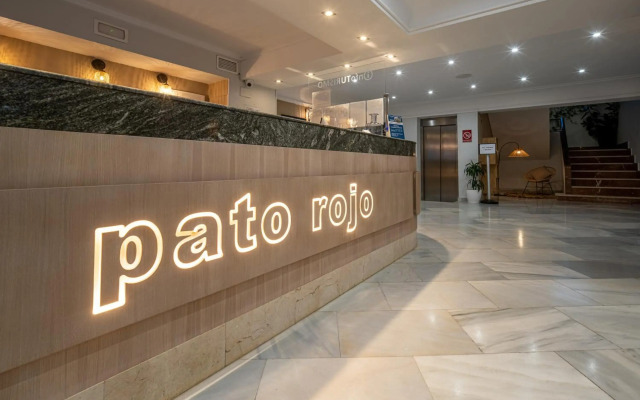 Pato Rojo