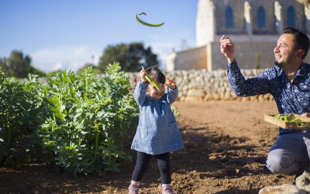 Agroturismo Llucmaçanes Gran