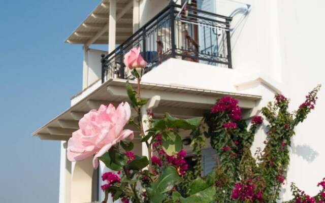 Mare Monte Studios