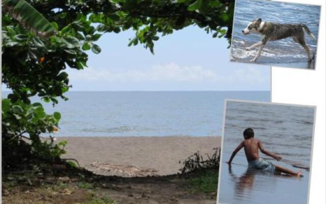 Taylor's Place Tortuguero Costa Rica