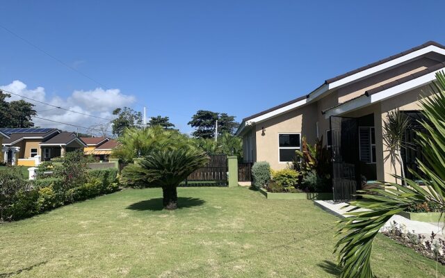 Palm BlossomJA Manor