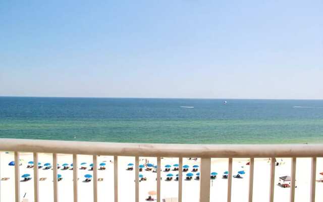 Royal Palms 806NS by RedAwning