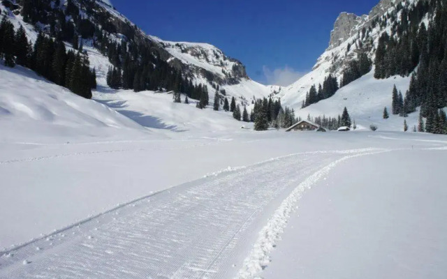 Hotel Rothorn