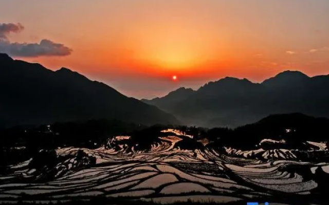 Jingya Shuju Farmhouse