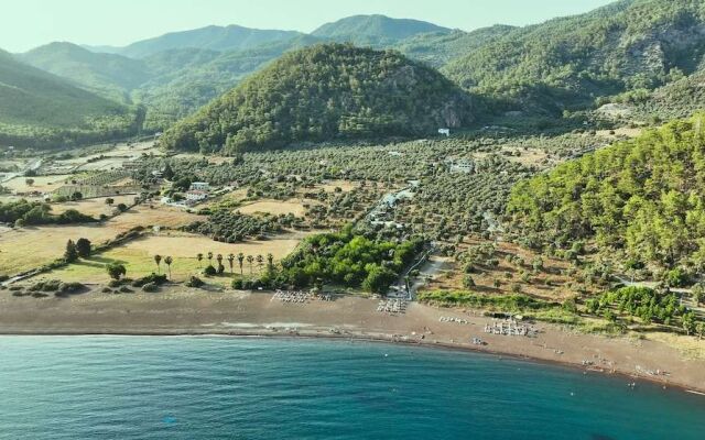 Eden Bungalows and Beach