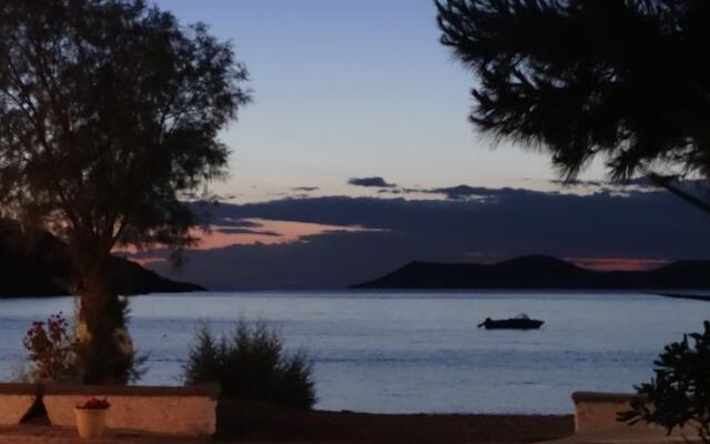 Bouriti Eleni Tzamaros