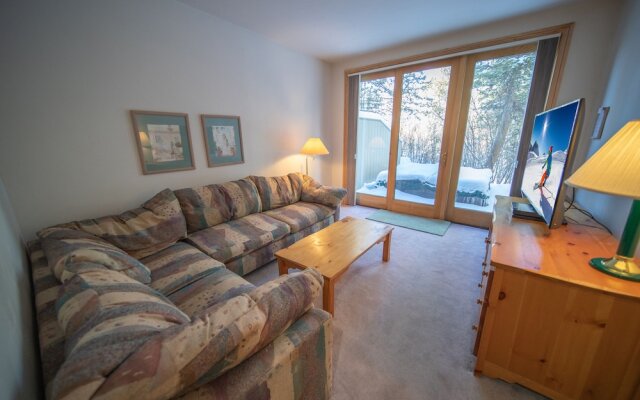 Ironwood 2993