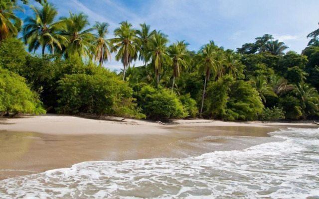 Villas María Luisa Lodge