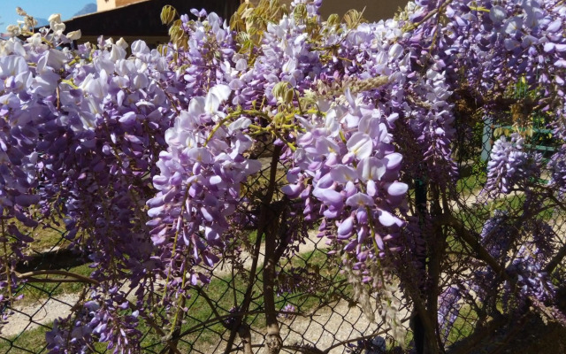 APPARTAMENTO AURORA Val di Sogno