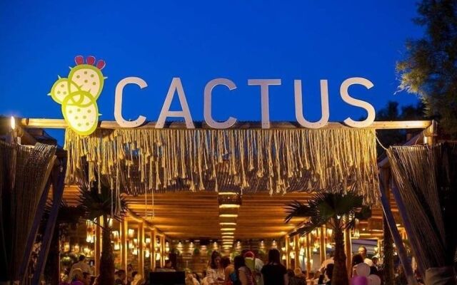 cactus beach paros
