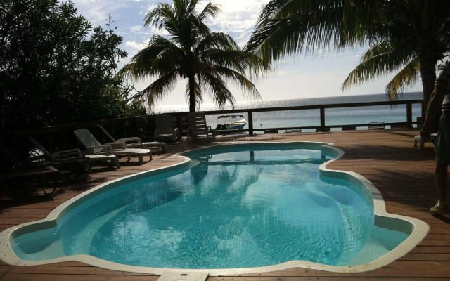 Coconut Tree West Bay