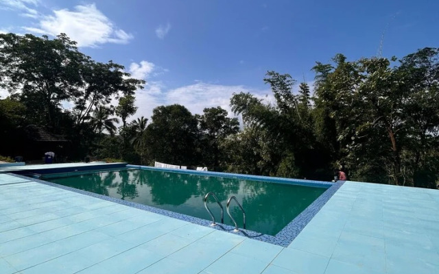 Misty Night Jungle Side Resort