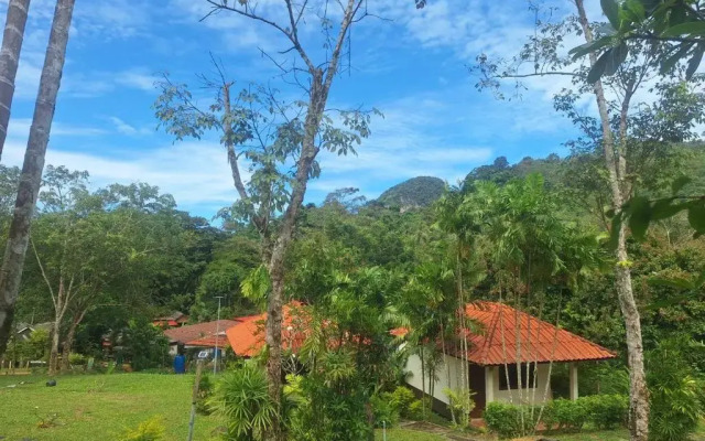 Koh Mook Rubertree Bungalow