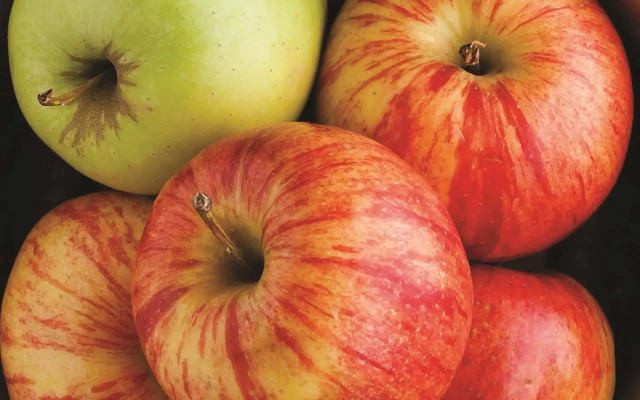 Highland Suites Minot