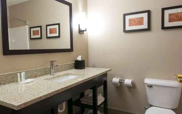 Comfort Suites Benton Harbor - St. Joseph