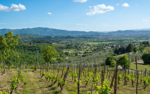 Podere Il Castello