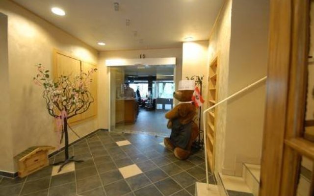 Hotel Brauner Bär