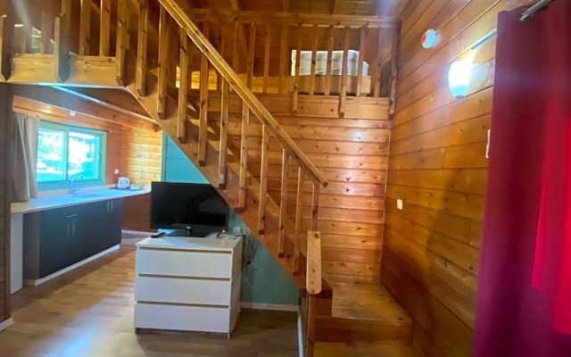 חוף גולן על שפת הכינרת אוהלים ממוזגים ובקתות עץ