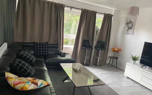 Cozy City Apartment in Birmingham