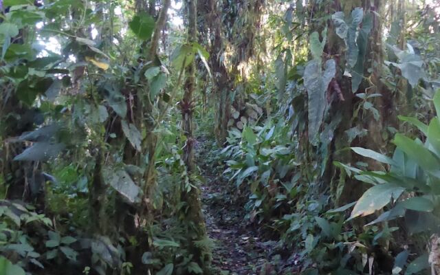 Santa Lucia Ecolodge