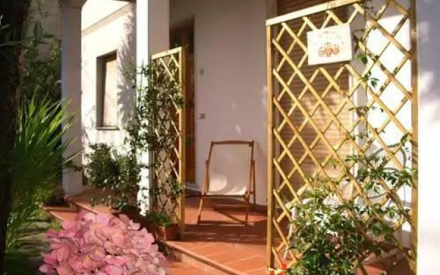 Tre Civette Sul Comò