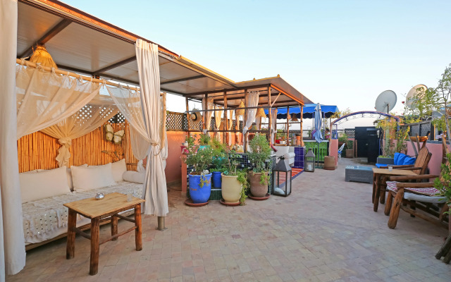 Riad Luzia