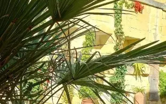 Ta' Didi B&B