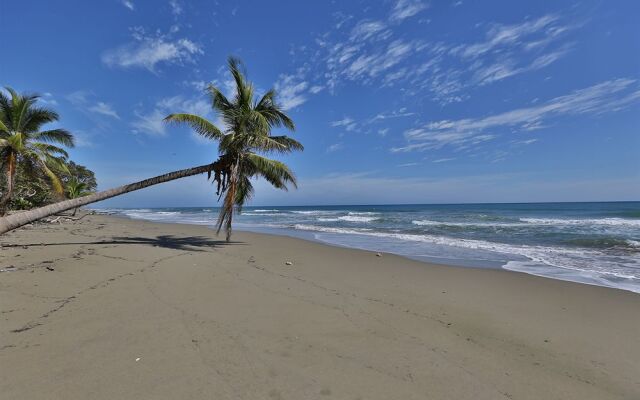 The Beachcomber at Las Canas