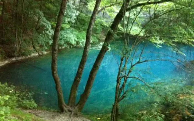 Lika Dream - Obradovic