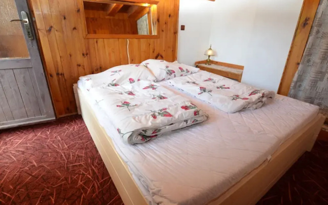 Luxury Chalet Near Ski Area
