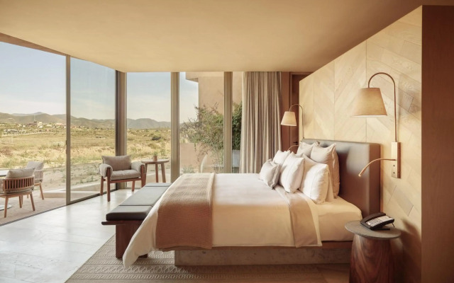 Banyan Tree Veya Valle De Guadalupe