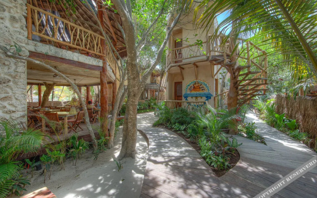 Life Source Retreats Tulum - All Inclusive